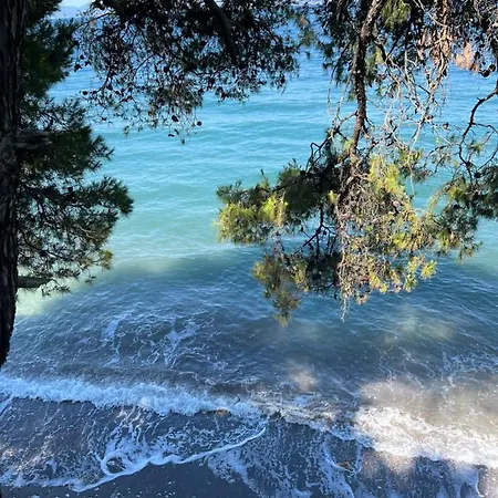 Krinides Place Gasthof Nerotriviá